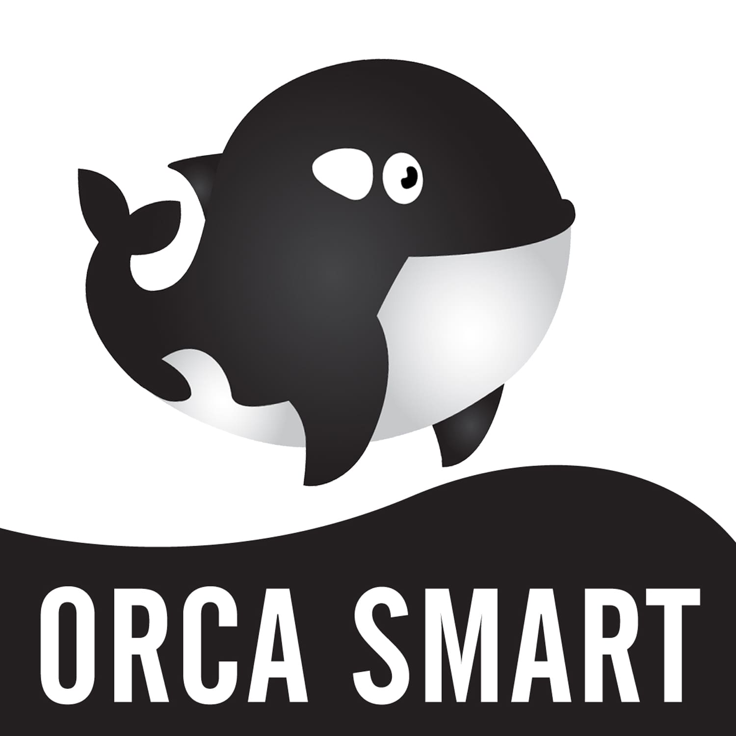 Orca Smart Logo copy