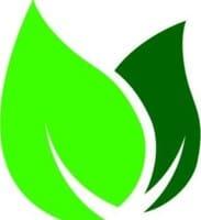 two leaves icon