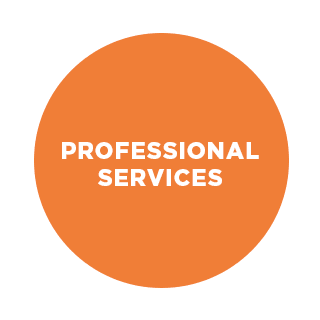 professionalservices-orange